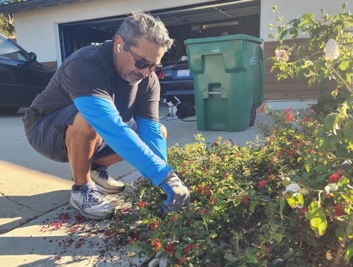 Pruningyard