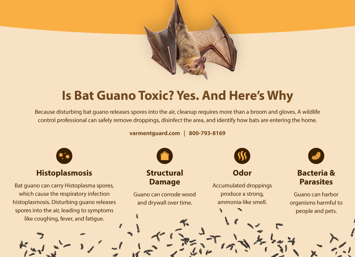 Vg Bat Guano Info R1 (1)