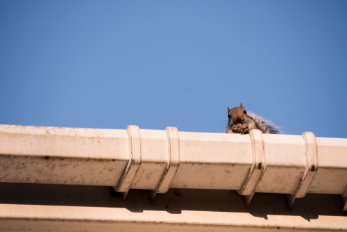 Shutterstock 1009629997