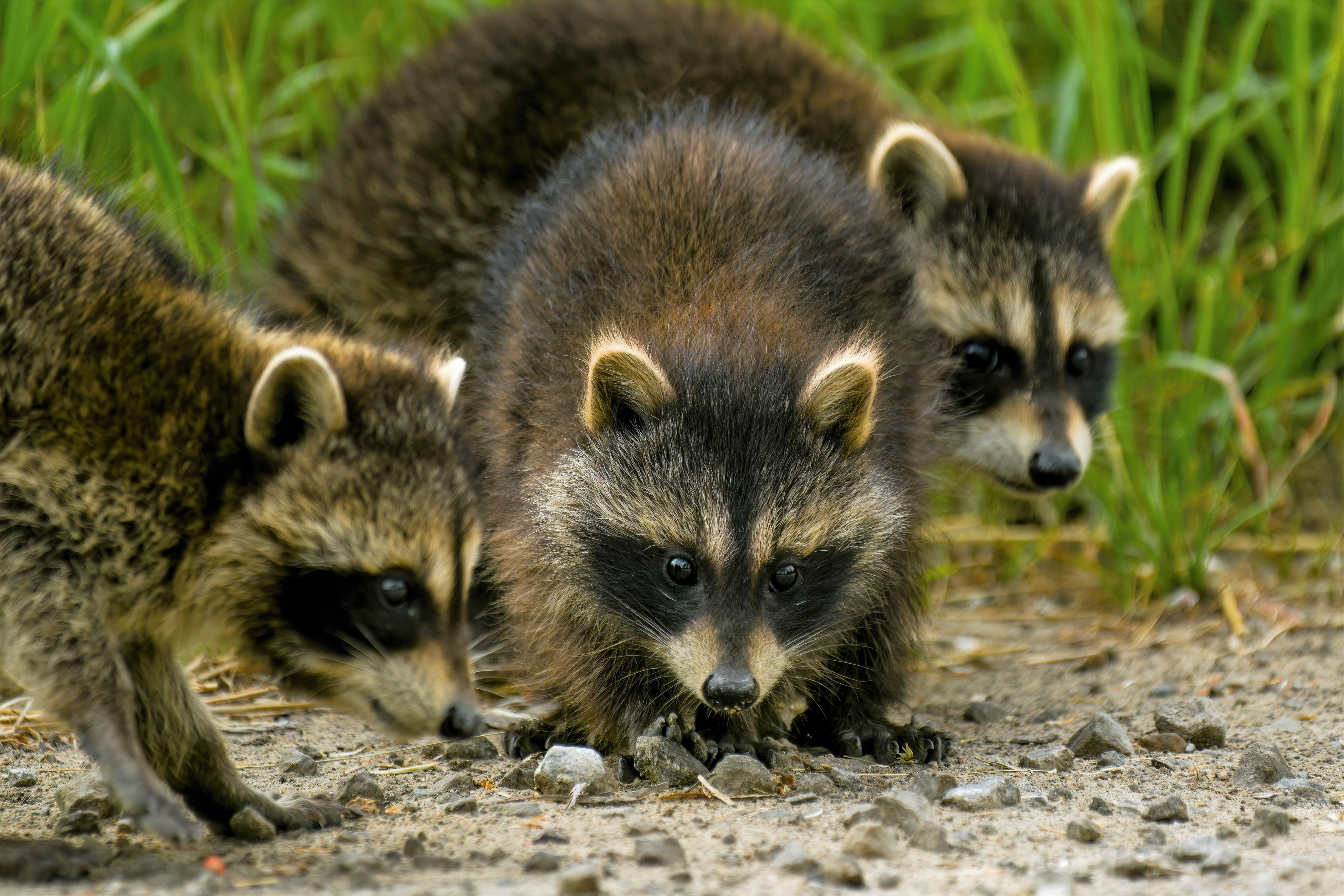 Shutterstock 2318422589 (1)