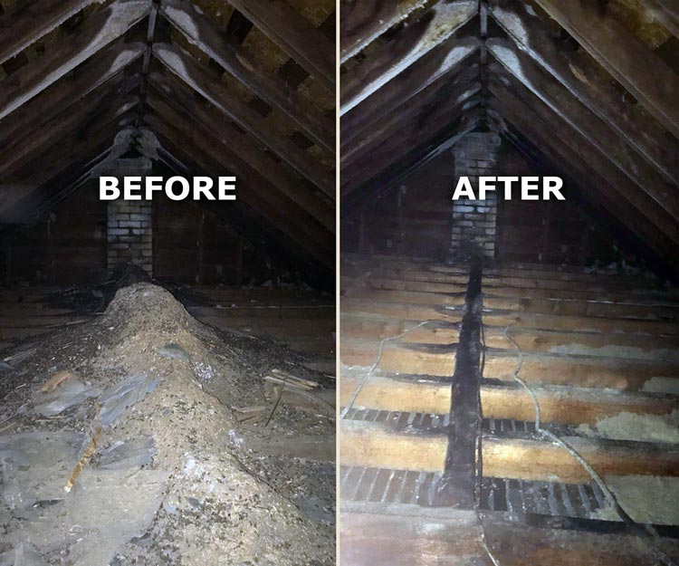 Atticcleaning&Restoration
